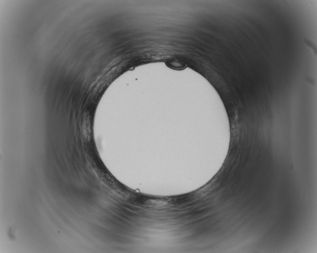 X0000103490170200810241110