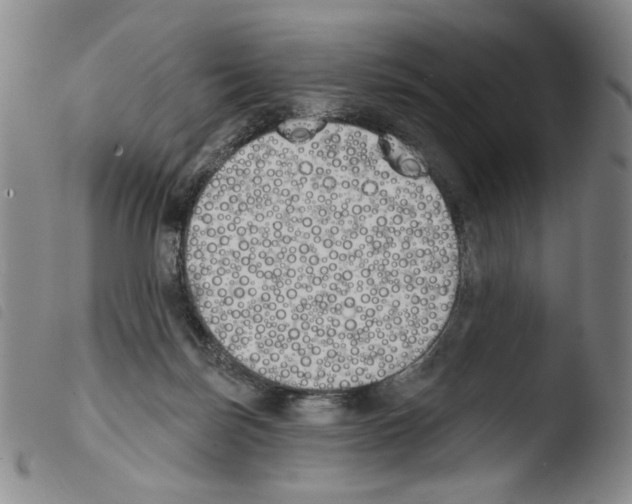 X0000103490171200810241110
