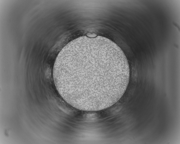 X0000103490173200810241110