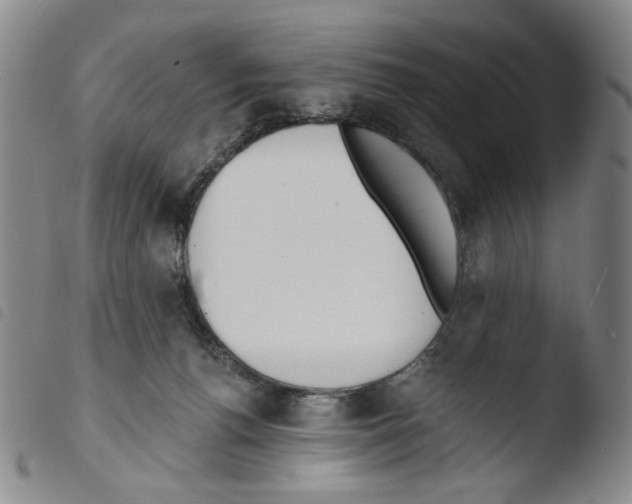 X0000103490176200810241110