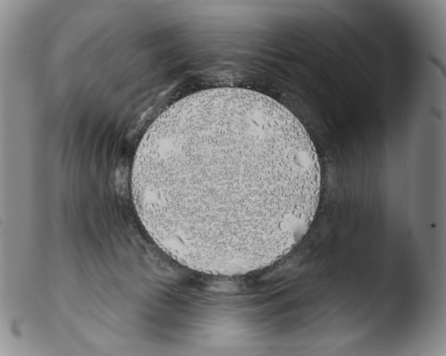 X0000103490177200810241110