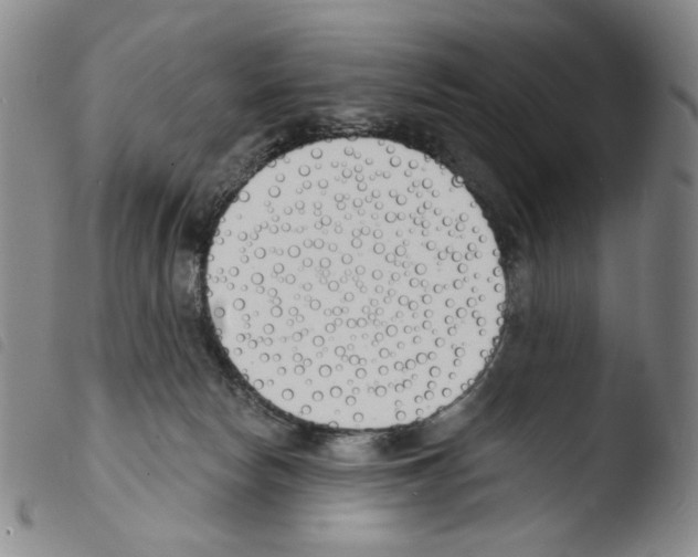 X0000103490178200810241110