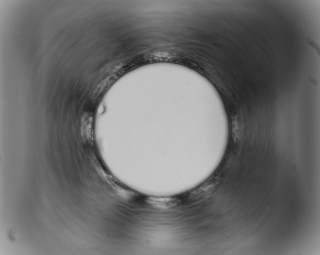 X0000103490181200810241110
