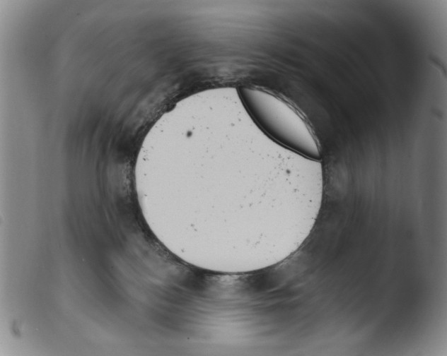 X0000103490184200810241110