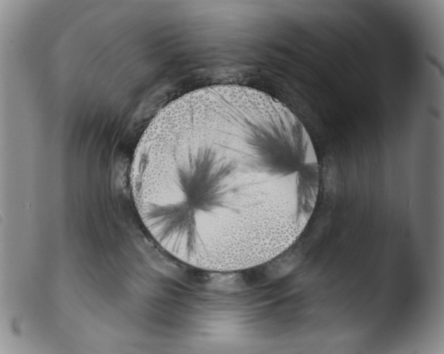 X0000103490185200810241110