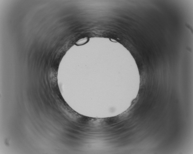 X0000103490186200810241110