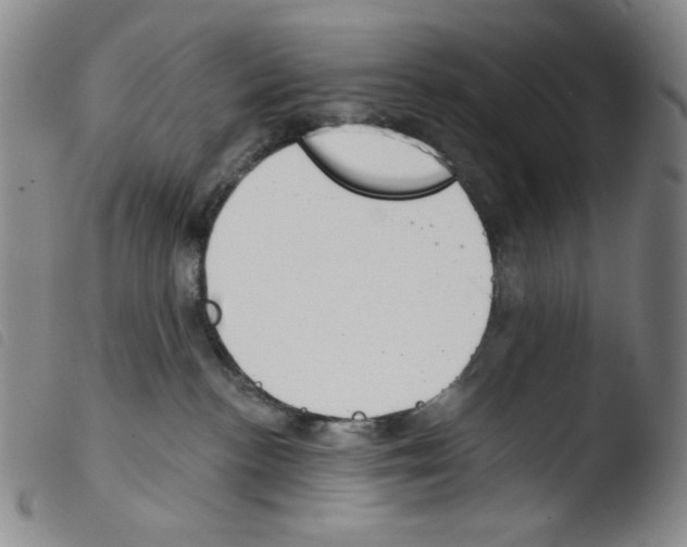 X0000103490188200810241110