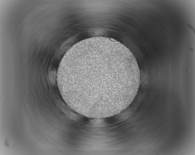 X0000103490189200810241110