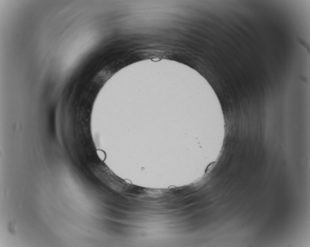 X0000103490190200810241110