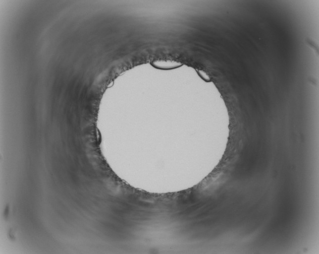 X0000103490192200810241110