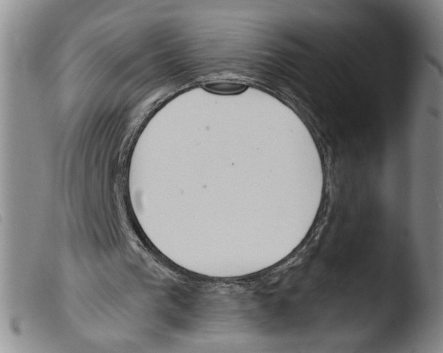 X0000103490193200810241109