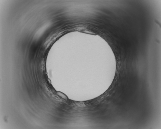 X0000103490194200810241109