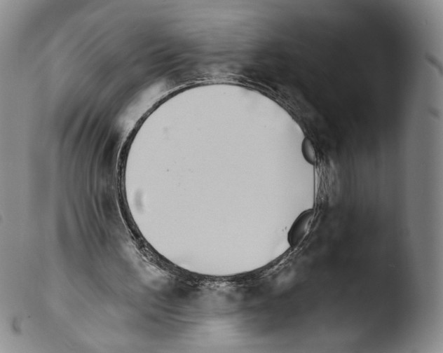 X0000103490195200810241109