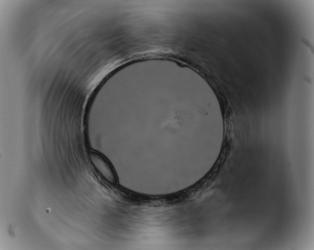 X0000103490196200810241109