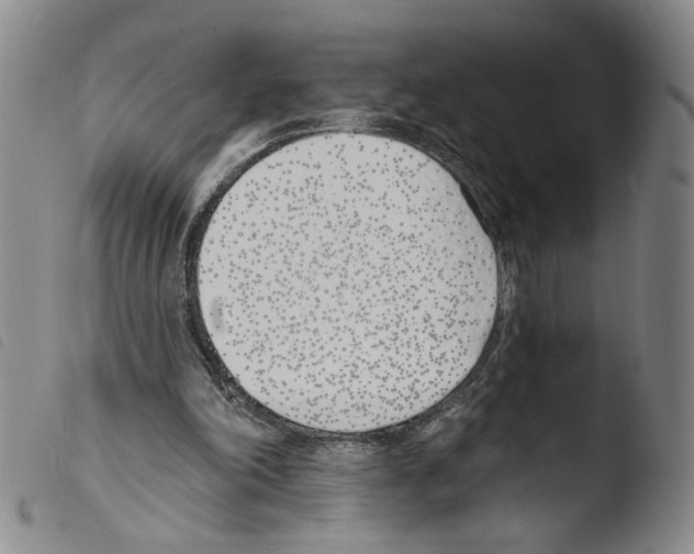 X0000103490198200810241109