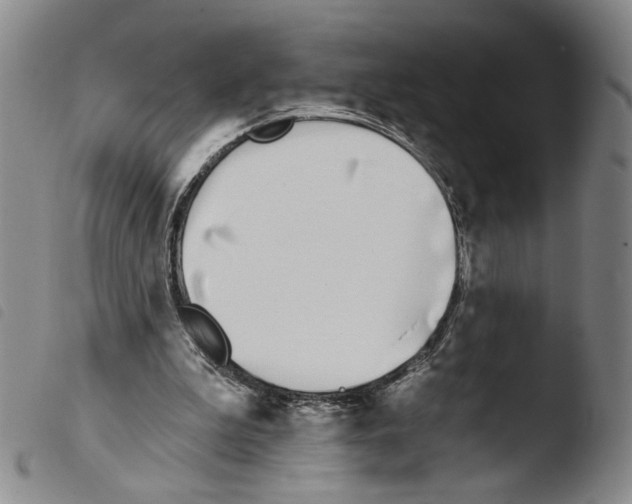 X0000103490199200810241109