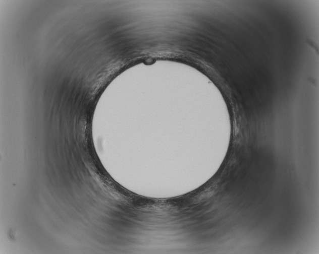 X0000103490201200810241109