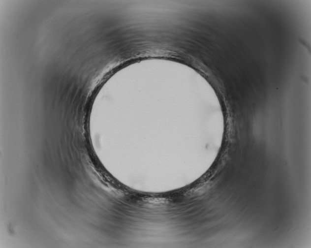 X0000103490203200810241109