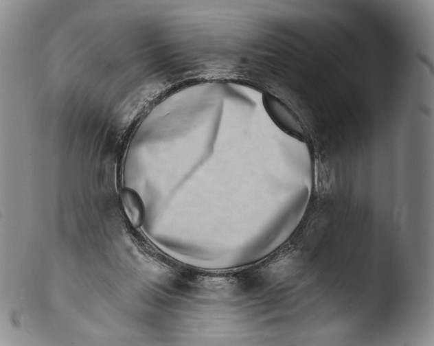 X0000103490205200810241109