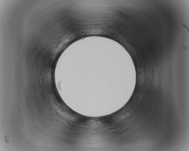 X0000103490207200810241109