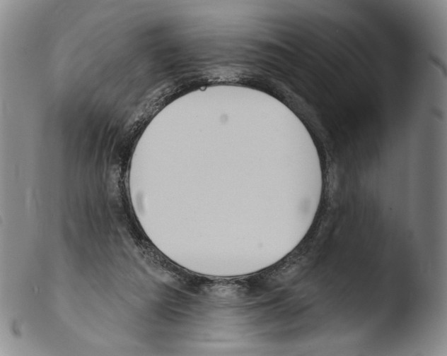 X0000103490209200810241109