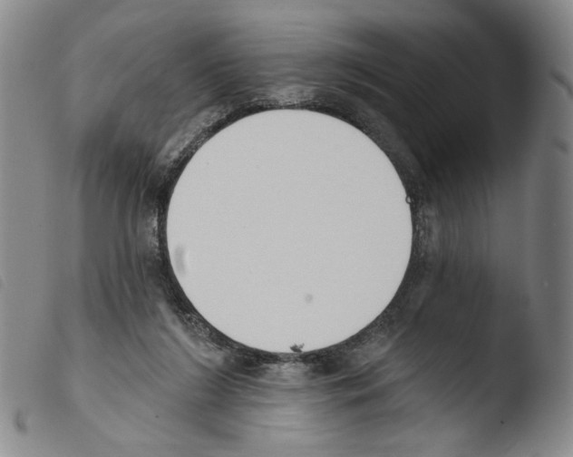 X0000103490212200810241109
