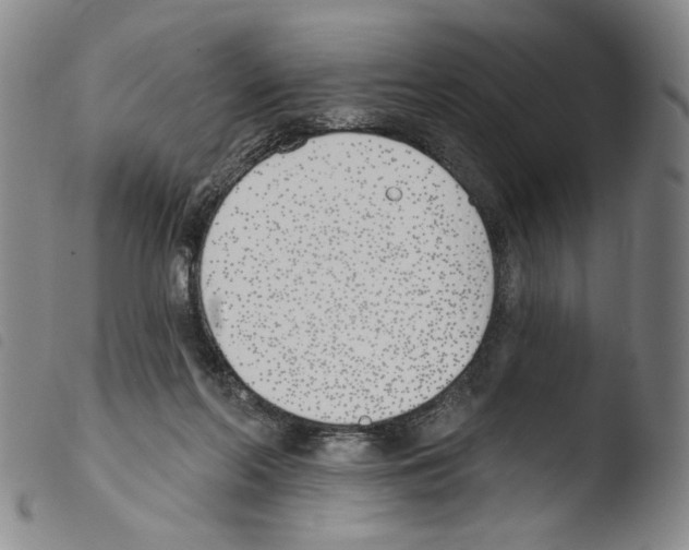 X0000103490214200810241109