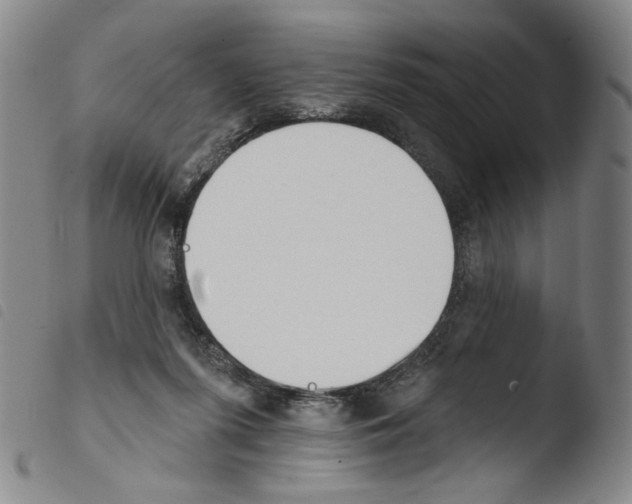 X0000103490215200810241109