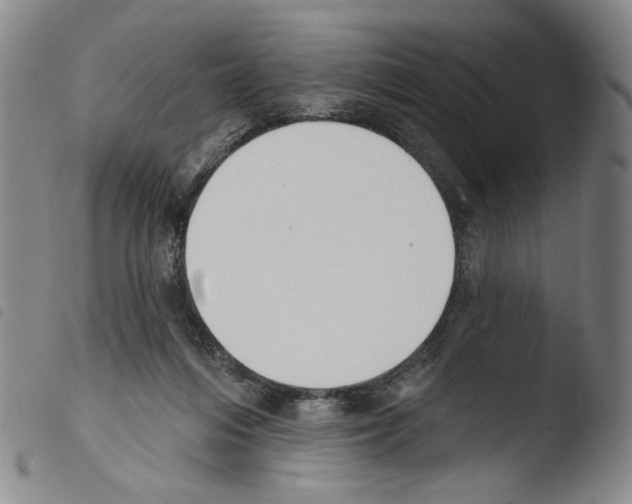 X0000103490216200810241109