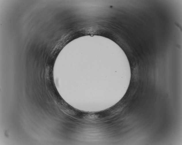 X0000103490217200810241109
