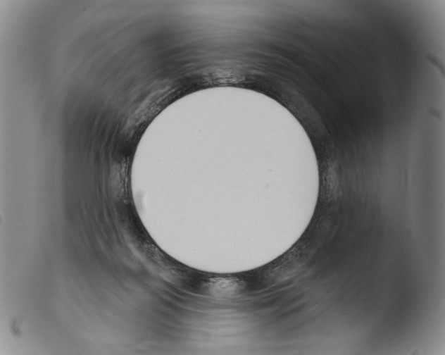 X0000103490218200810241109