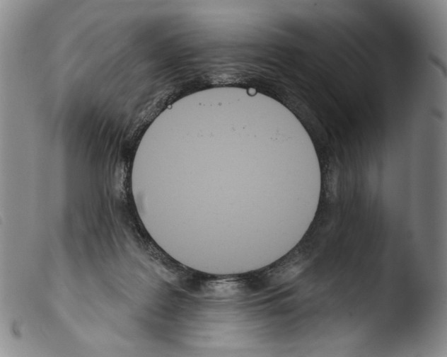 X0000103490219200810241109