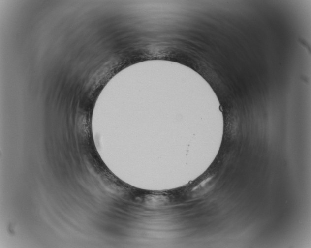 X0000103490220200810241109
