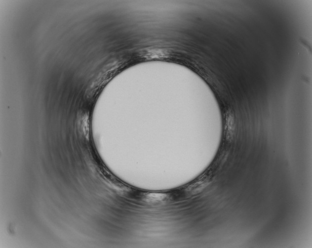 X0000103490222200810241109