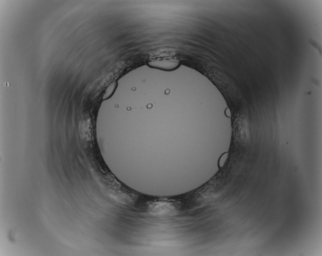 X0000103490224200810241109