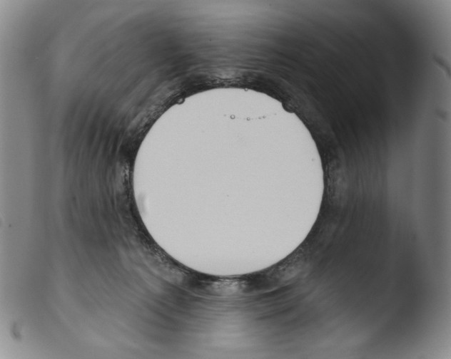 X0000103490225200810241109