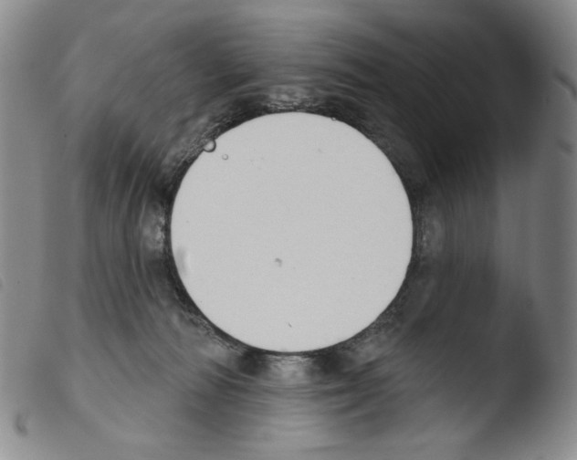X0000103490226200810241109