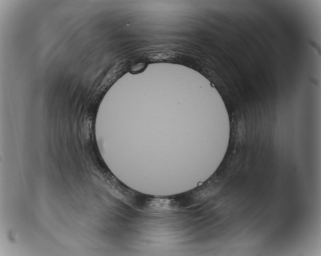 X0000103490227200810241109