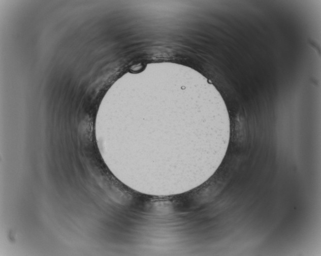X0000103490228200810241109