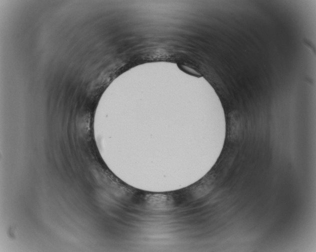 X0000103490230200810241109