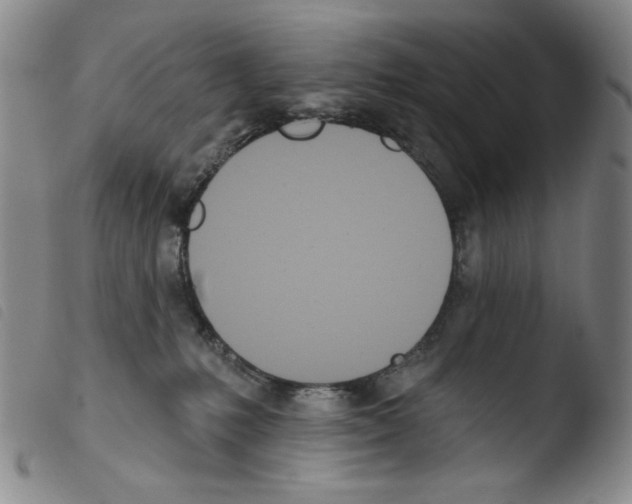 X0000103490231200810241109