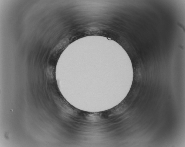 X0000103490232200810241109