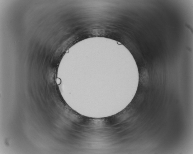 X0000103490233200810241109