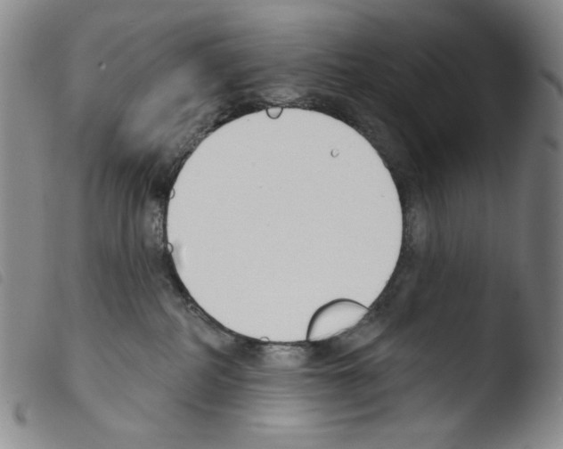 X0000103490234200810241109