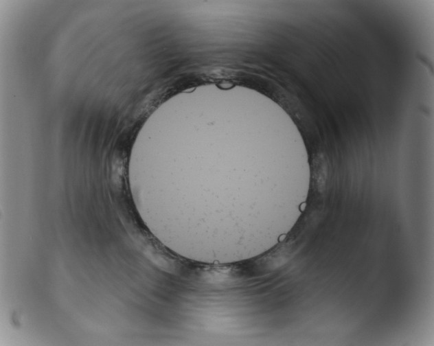 X0000103490235200810241109