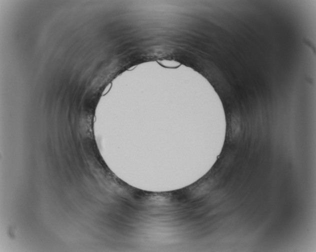 X0000103490236200810241109