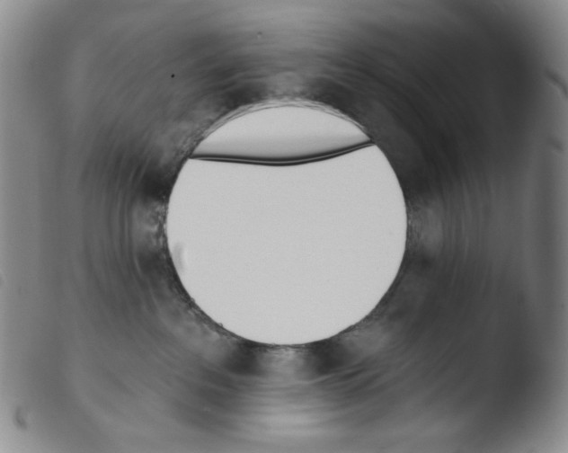 X0000103490237200810241109