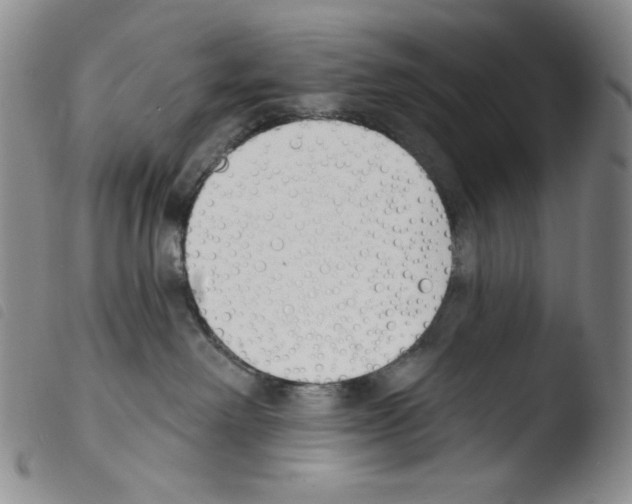 X0000103490238200810241109