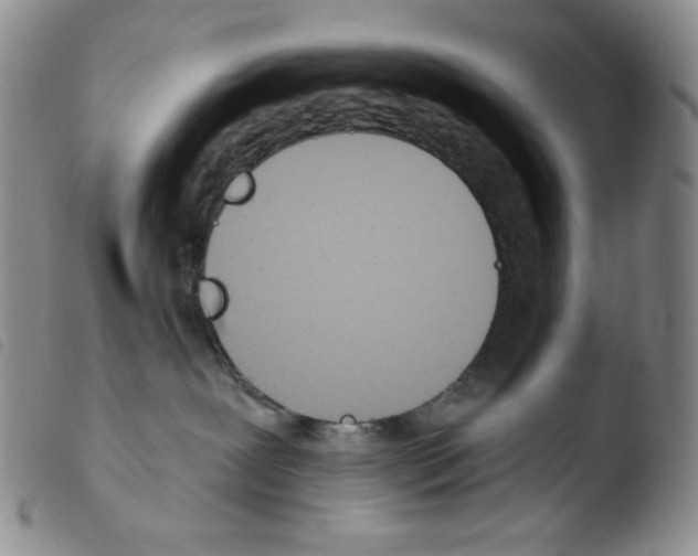 X0000103490239200810241109