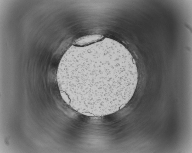 X0000103490240200810241109